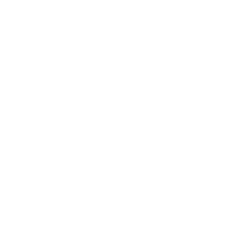 MOBILEX